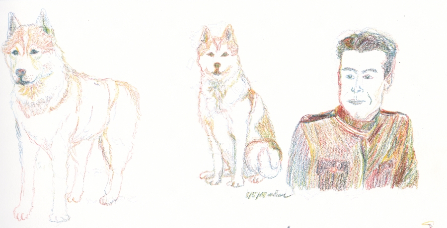 sketches of a man and a dog